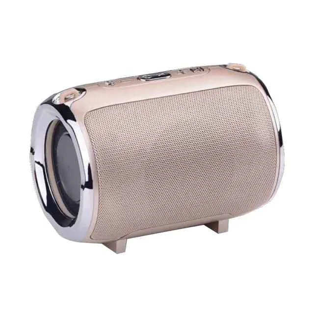 Portable Anti-Fall Bluetooth Speaker with Subwoofer